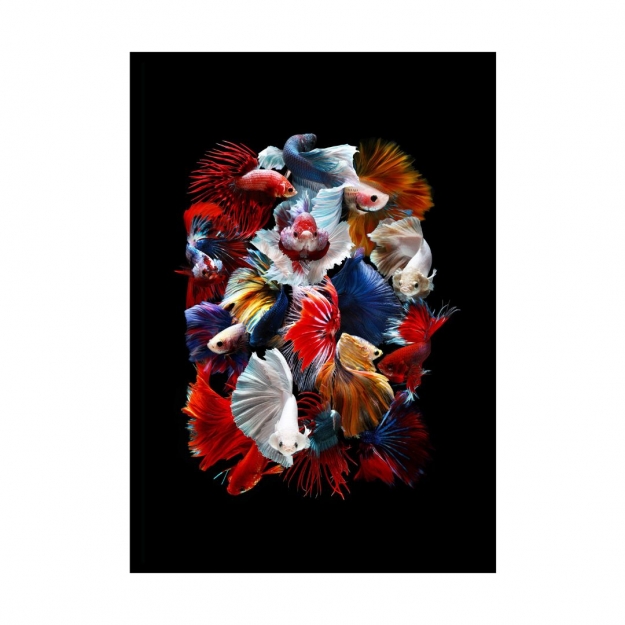 Картина на склі у рамі Betta Fish 152.5x102.5cm
