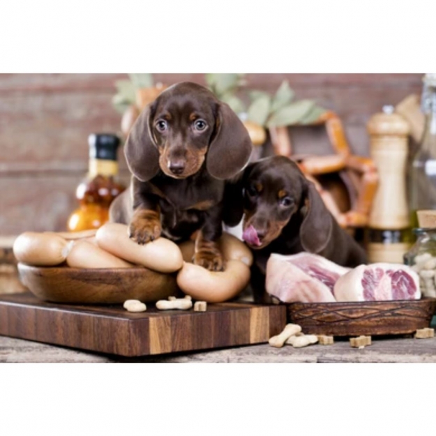 Картина на склі Dachshund and meat 60x80cm